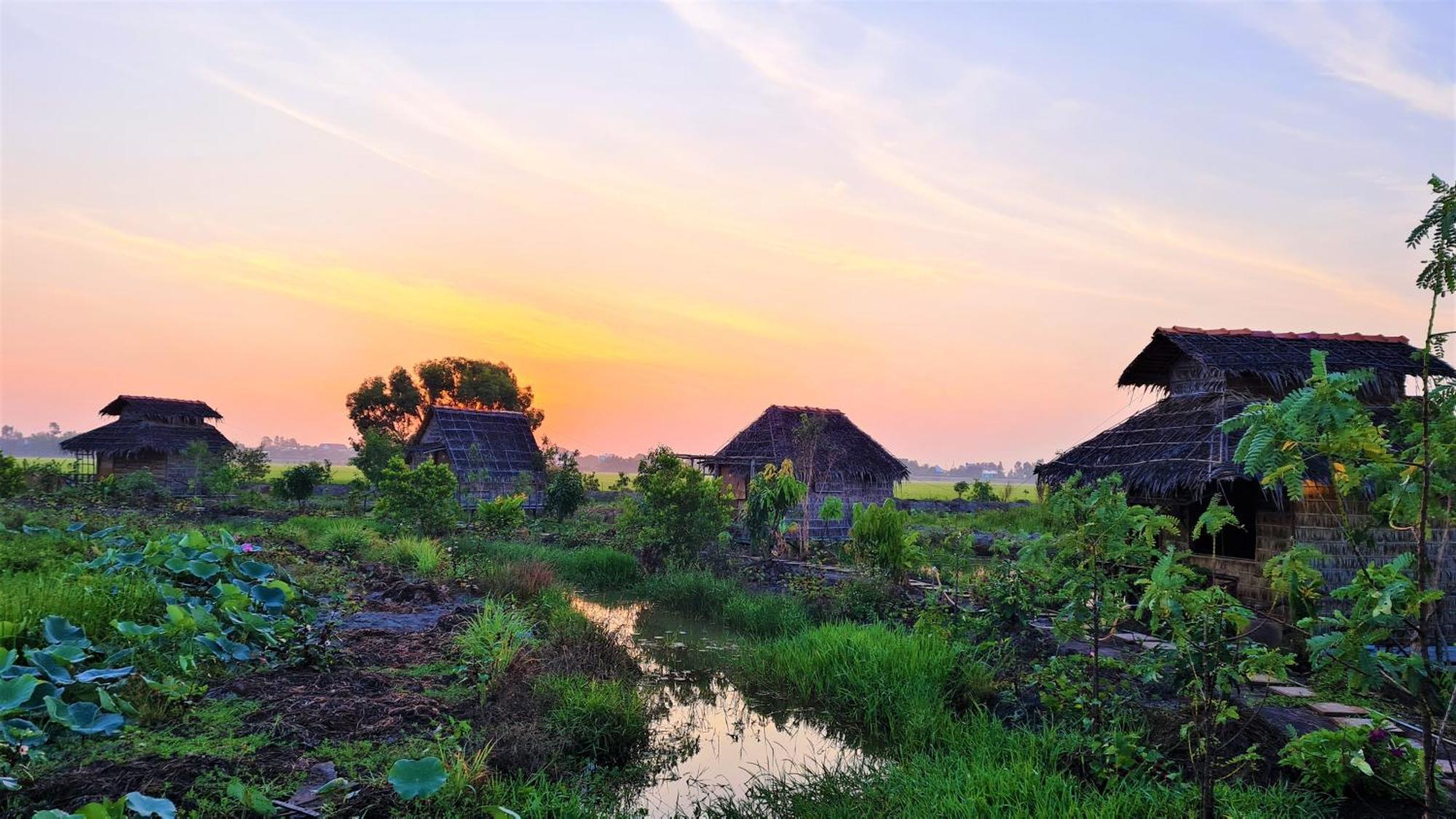 Viet Mekong Farmstay Tràm Chim Екстериор снимка